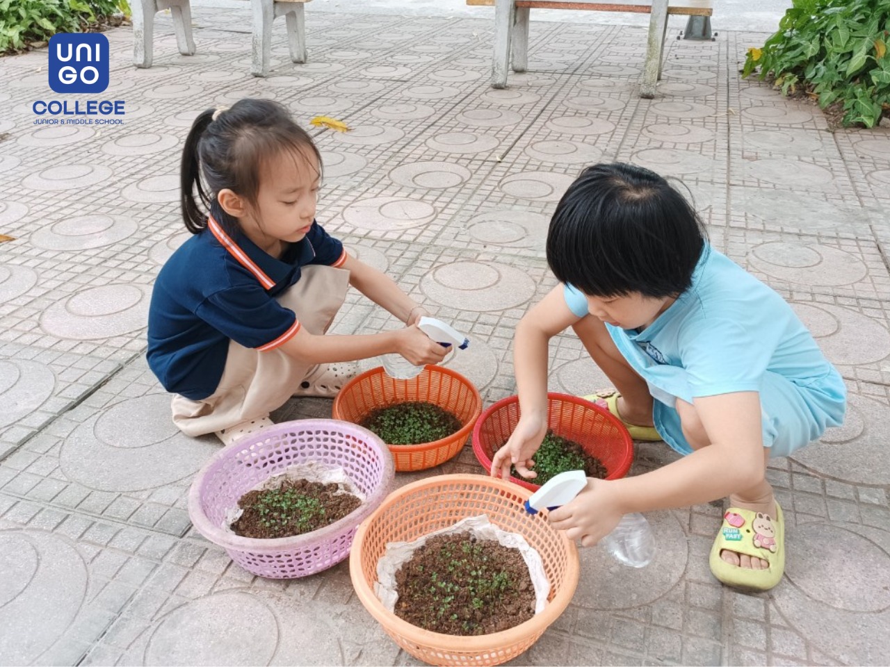 TỪ NÔNG TRẠI ĐẾN BÀN ĂN: HỌC LÀM RAU MẦM SẠCH